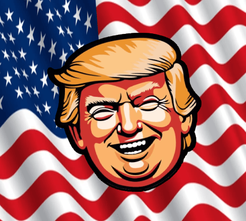 TRUMP HEAD fflag